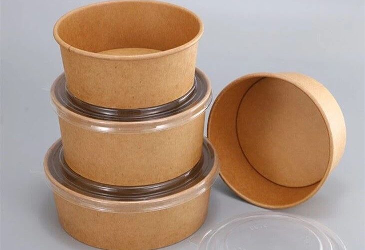 Mengapa Memilih Disposable Paper Bowl Dibandingkan Mangkuk Tradisional?